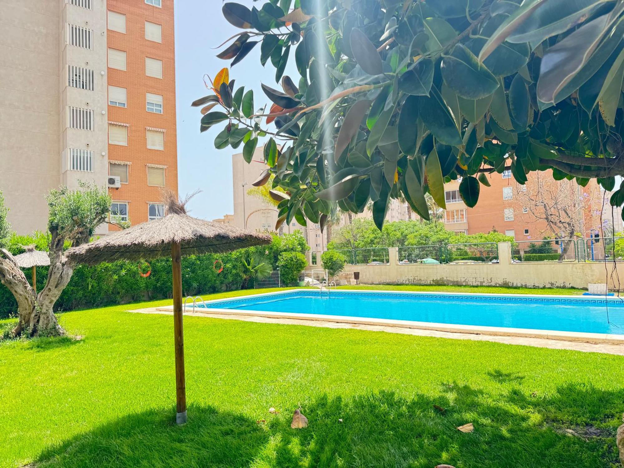 Estudio Con Piscina Аликанте Екстериор снимка